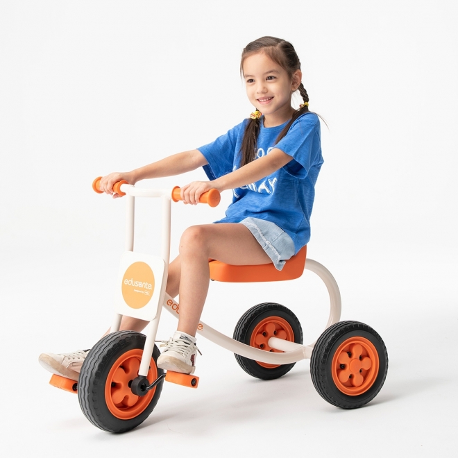 Edusante ES Trike L Weplay we play we learn