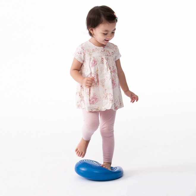 Air Cushion (30 cm) - Weplay : we play-we learn